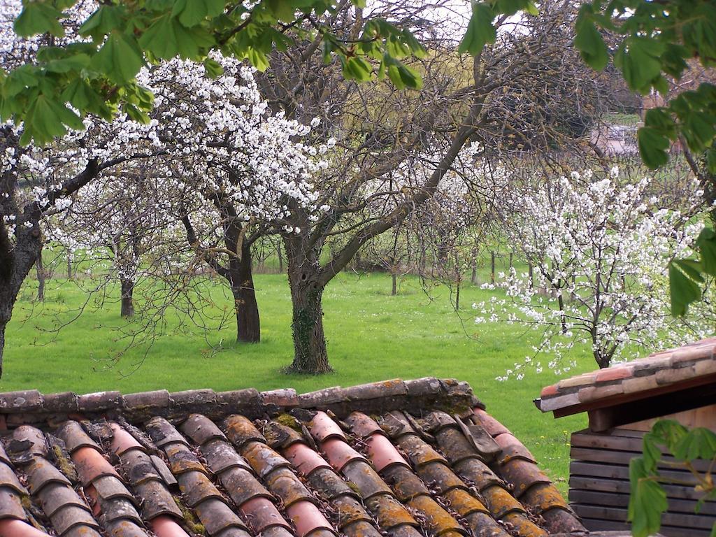 Pommiers  Clos De Pomeir旅馆 外观 照片